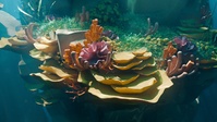 Reef shot v10 - animation render