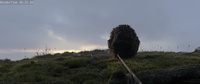 Franck approaches the cliff