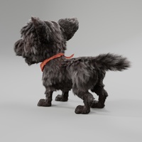 秋天 - 毛皮和紋理 進行中 2