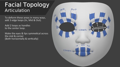 Facial Topology - Articulation