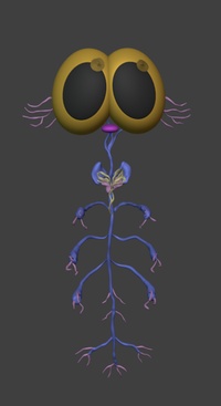 Critter - Inner Body Rough Sculpt