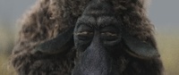 弗蘭克的全身毛皮裝扮：動畫幀