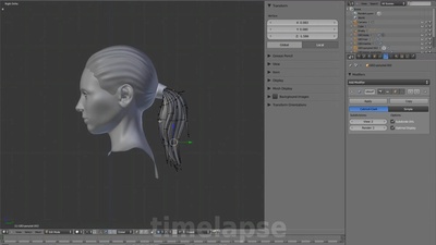 02 - Hair Strands
