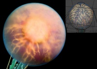 One - Internal Dome Structure 03