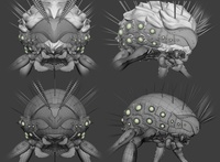 阿爾法進行中 03 - 雕刻與重新拓撲