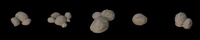 Sponges Round
