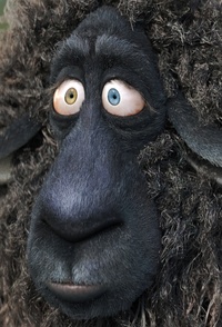 Frank on Wednesday, it's all in the eyes