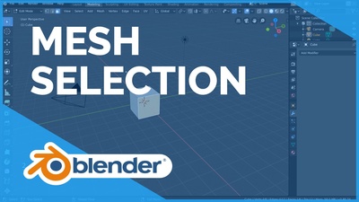 Mesh Selection Mode