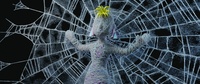 Spiderweb Membrane Shading Test