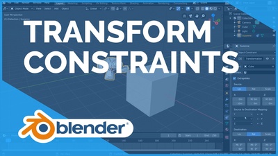 Transform Constraints