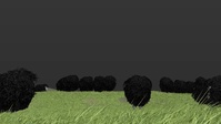 Flock shot with new set