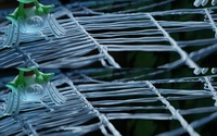 Spiderweb Shading Detail