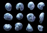 Round Ice Shards Concept