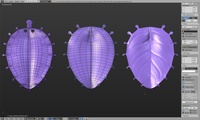 Hero leaf retopo