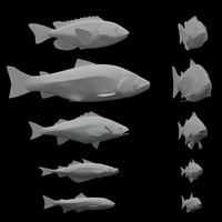 Fish Design Review