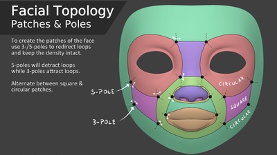 Facial Topology - Patches & Poles