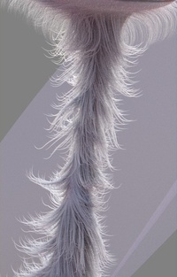 Tara's furry neck