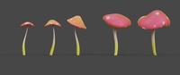 Toadstool variations