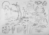 Island sketches