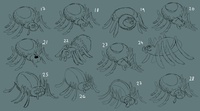 spiders_designs3.jpg
