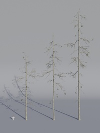 Tree Model Arrangements Tests 03