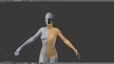 Mesh Selection Tools