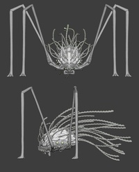 阿爾法進行中 02 - 正面和側面