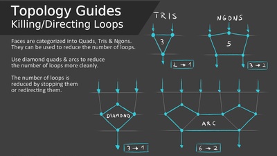 Topology Guides - Killing/Directing Loops