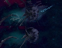 One Transformation - Stage I