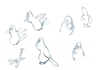 bird1.jpg