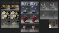 Corals - modeling reference paint-overs