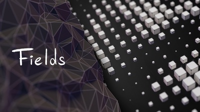 Theory - Fields
