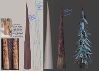 Pine base notes