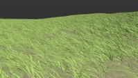 Tornado winds in the grass, test 4