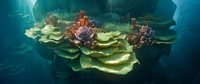 Reef shot v15 - Oil brush effect